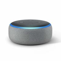 echo dot croma
