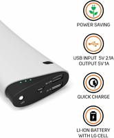 Micromax 13000mAH Power Bank (Grey)