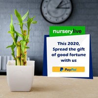 NurseryLive PayPal Offer | Get 100% cashback Upto ₹79 | All Users 