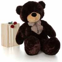  Click4Deal Teddy Bear Choclate Brown 4 Feet (121 Cm)  @485