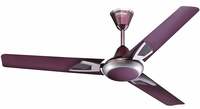 Eveready Fans Rhombus 1200mm High Speed Ceiling Fans (Maroon)@ 1679

