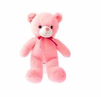 Teddy Bear From Rs. 79
