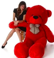 3 feet  Teddy @449