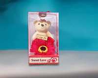 Valentine Gifts Cute Teddy Bear with Flower at Rs.89

