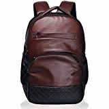 F Gear Luxur 25 Ltrs Brown Laptop Backpack (2404)