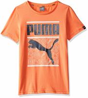 Upto 88% off on Puma clothing , Shoes , Accessories