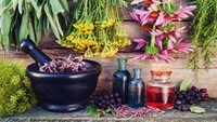 Herbalism : Intro & Medicine Making Course [Certificate]