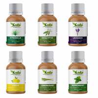 Kalp Citronella Essential Oil; Eucalyptus Essential Oil; Lavender Essential Oil; Lemon Essential Oil; Lemongrass Essential Oil; Peppermint Essential Oil (Pack of 6; 15 ml Each ; 90 ml Total) - CELLLP