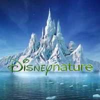 Free Disney Nature Activity Packs & Educator's Guide