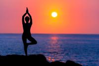 Some Popular Yoga courses for free 
