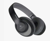 Zebronics Zeb-Dynamic On The Ear Wireless Earphone with Voice Assistant (Black)