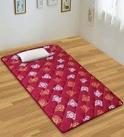 Travelite folding Mattress (Single bed) by Nilkamal @ 623 only ( with pepperfry code PEPRY751) - user specific