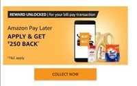 Get Rs 250 on Amazon Pay Later reward has been unlocked for your recent recharge or bill payments placed during May-2020.(User Specifc) 