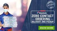 Dominos -  Get 15% CashBack* upto ₹100 on minimum transaction of ₹250 via Payzapp