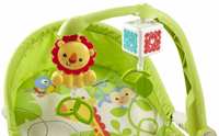 Fisher-Price Newborn to Toddler Portable Rocker  (Green)