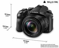 Panasonic DMC-FZ2500GA Bridge Camera (Black)