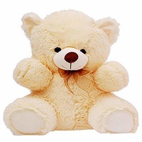 Teddy Bear - 2 Feet Rs.399

