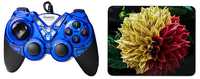Quantum QHM7487 USB Game Pad with Dual Vibration & Turbo Function (Blue) with Mousepad


