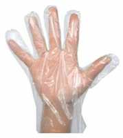 A & Y Plastic Gloves Disposable (80 pcs) @ 100