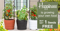 Buy 1 Get 1 Free on Flowers Seeds + Flat Rs.100 Off on order Rs.100 & above by applying code