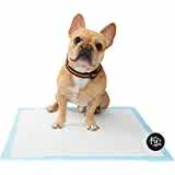 Amazon Pet Supplies Clearance Store upto 77% off