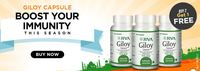 BUY 2 GET 1 FREE - Jiva Giloy Capsule