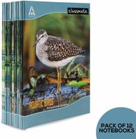 Amazon Fresh Loot : Classmate Notebook - Four Lines with Gap, 172 Pages (Pack Of 12)