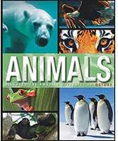 Amazing Fact Animals Hardcover – 1 January 2015
