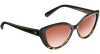 90% Off : Azzaro Sunglasses from 399