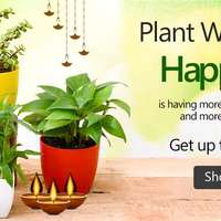 Plant Wali Diwali Surprise! Win plants worth 5000 daily!