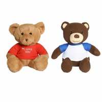 2 Teddy Bear Combo 25 cm for Rs 590- Mupkin