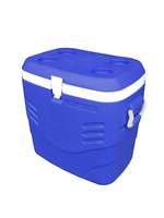 Princeware - L3613 Plastic Ice Box, 41 Litre, Assorted


