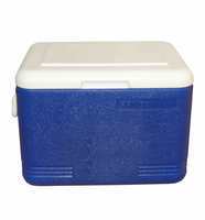 Princeware - L3422 Plastic Ice Box, 22 Litre, Assorted