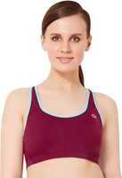 Amante Lingerie - Up to 68 % off +   Buy 2 get ₹50 off + Buy 3 get extra 15 %  off