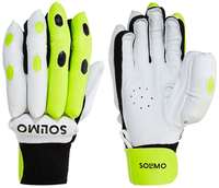Cricket Batting Gloves, Boy