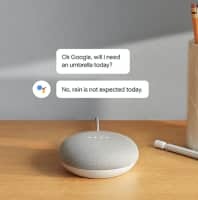 Google home mini Just 499