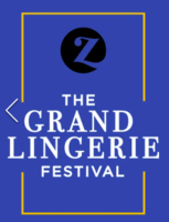 Zivame Grand Lingerie Fest Upto 70% + Free Shipping + Additional Coupons Or Wallets offers ( 10th To 15th March)