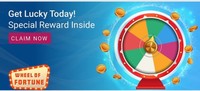 Flipkart - Wheel of Fortune - Special Rewards (User Specific)