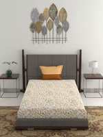 TRIDENT 120 TC Cotton Single Floral Bedsheet  (Pack of 1, Yellow)