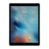 Apple iPad Pro with Wi-Fi + Cellular (128 GB, Space Grey)