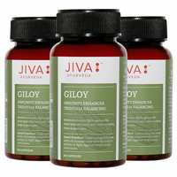Jiva Giloy Capsule (Pack of 3)