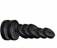 16KG Weight Plates for Home Gym at 523.