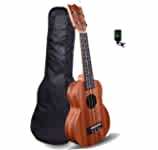 Kadence Concert Size Ukulele, Pineapple Shape Rs.2799 @ Amazon