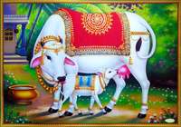 Loot PAPER PLANE DESIGN Hindu Religious Kamdhenu Cow with Calf Unframed Wall Poster (Paper, 12 x 18 inch, Multicolour), multicolor