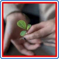 Amazon World Nature Conservation Quiz Answer & Win ₹20,000 Pay Balance 