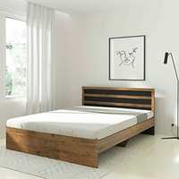 Amazon Brand - Solimo Alasia Engineered Wood Queen Bed (Forest Dark & Black)