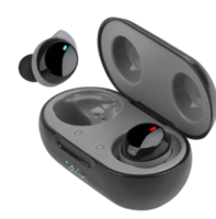 pTron Black & Grey Bassbuds Evo Wireless Headphones with Deep Bass & Voice Assistance