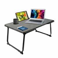 30% Coupon - Portronics My Buddy One POR-1140 Multifunctional Folding Table 