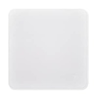 Apple - Polishing Cloth