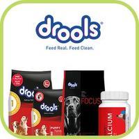 Gokwik Shopping Festivals - Up to 50% Off On Pet Supplies + extra 10% Off via UPI